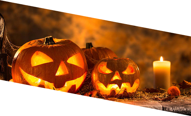 New Bright Decoration